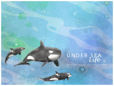 sualtı yaşamı suluboya arka plan