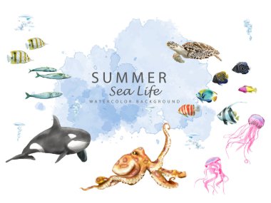 sualtı yaşamı suluboya arka plan