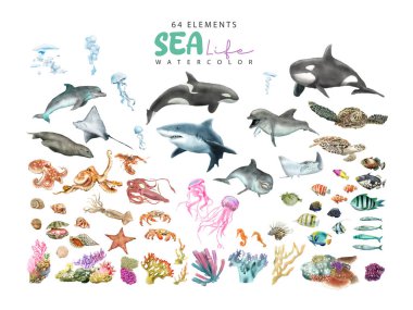 Deniz yaşamı elementleri suluboya koleksiyonları