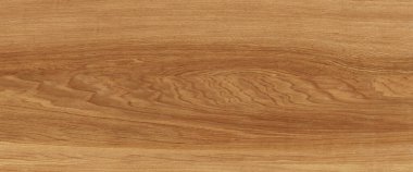 Meşe ağacı dokusu. Doğal arkaplan