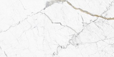 Beyaz yüksek çözünürlüklü, parlak Carrara mermer taş yapı dijital duvar ve zemin fayansları için