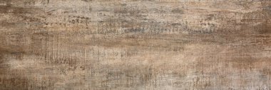 Old wood texture. Vintage background
