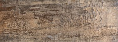 Old wood texture. Vintage background
