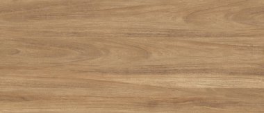 Doğal Meşe ağacı ahşap dokusu arkaplanı