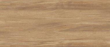 Doğal Meşe ağacı ahşap dokusu arkaplanı