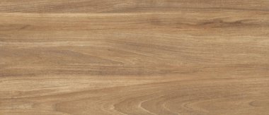 Doğal Meşe ağacı ahşap dokusu arkaplanı