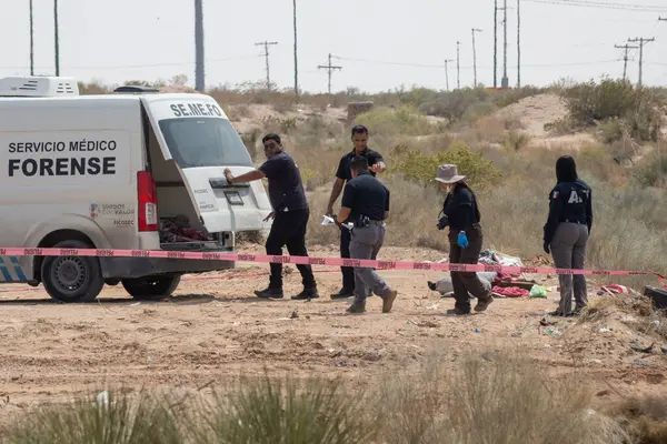 Adli ekip Ciudad Juarez Çölü 'ndeki suç mahallini inceliyor..