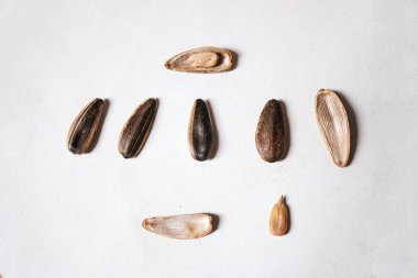 Close up of delicious sunflower seeds isolated on white background. clipart