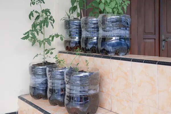 Yaratıcı, kullanılmış galonları kullanarak güzel saksılar yapmak.