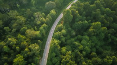 Yazın kıvrımlı yolların hava fotoğrafçılığı, günbatımı ışıklarıyla ağaçların renkleri. Yüksek kalite fotoğraf