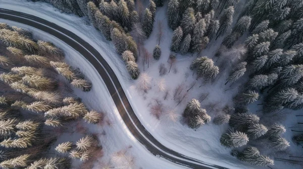 Curvy windy road in snow covered forest top down aerial view, snow, black road