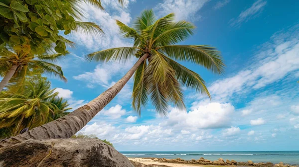 Coconut palm trees against blue sky and beautiful beach. High quality photo