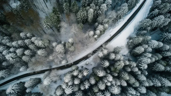 Curvy Windy Road Snow Covered Forest Top Aerial View High — Stock Photo, Image