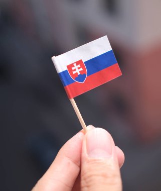 Slovakya bayrağı elinde