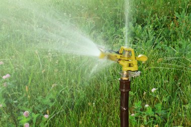 Otomatik fıskiye sistemi arka bahçedeki yeşil çimleri suluyor.