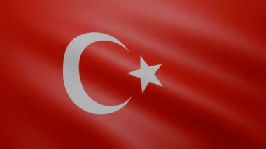 Türkiye'nin ulusal bayrak sallayarak