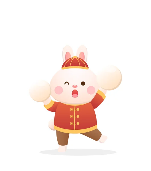 Cute Rabbit Character Mascot Glutinous Rice Balls Lantern Festival Winter — Stock Vector