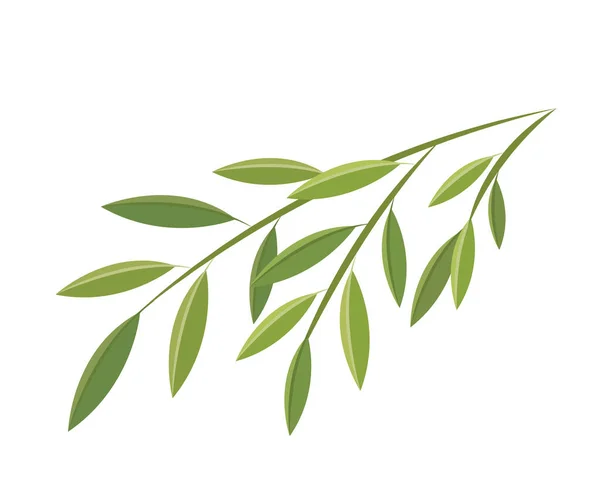 Vector Icon Illustration Bamboo Leaves Plant Dragon Boat Festival — Stock Vector