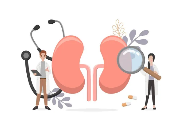 健康診断のための医師や看護師や医療スタッフと腎臓のヒト器官 ベクトル漫画 — ストックベクタ