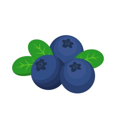 Beyaz arkaplanda yaban mersini çizgi film vektörü izole