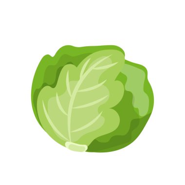 Beyaz arkaplanda izole edilmiş lahana çizgi film vektörü