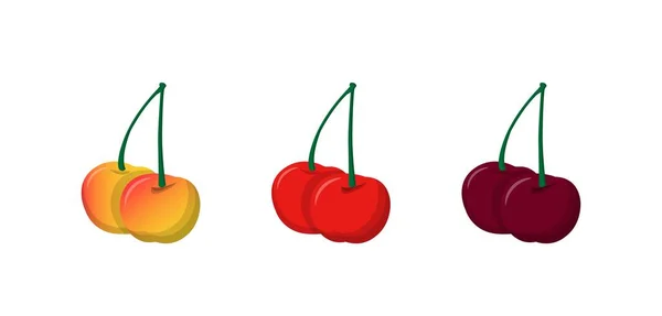 Tre Färger Körsbär Tecknade Serier Vektor — Stock vektor