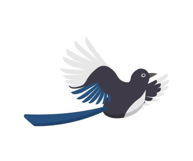 Magpie beyaz arkaplanda izole edilmiş, kuş çizgi film çizgi romanı vektör çizim simgesi