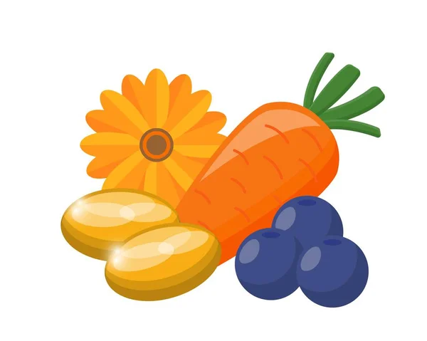 Különböző Zöldségek Gyümölcsök Tápláló Élelmiszer Szem Védelmére Lutein Sárgarépa Áfonya — Stock Vector