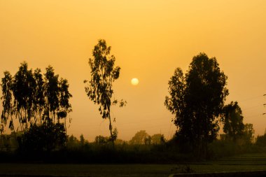 Akşam Günbatımı, Kırmızı Boll Siluet fotoğraf arkaplanı 