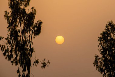 Akşam Günbatımı, Kırmızı Boll Siluet fotoğraf arkaplanı 