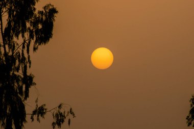 Akşam Günbatımı, Kırmızı Boll Siluet fotoğraf arkaplanı 