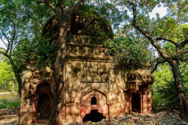 Terk edilmiş yerler, eski zamanlarda Qutub Minar Mehroli Park Yeni Delhi, Hindistan