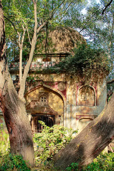 Terk edilmiş yerler, eski zamanlarda Qutub Minar Mehroli Park Yeni Delhi, Hindistan