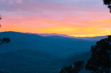 Himalaya sıradağları, Almora, Ranikhet, Uttarakhand, Hindistan 'daki çam ormanlarının ve günbatımının güzel manzarası. Kasardevi bölgesinde Almora şehrinde renkli gün batımı.