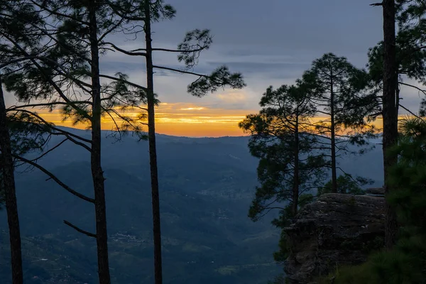 Bella Vista Del Paesaggio Pineta Tramonto Catena Himalayana Almora Ranikhet — Foto Stock