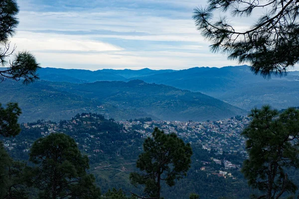 Hermosa Vista Panorámica Del Bosque Pinos Brumosos Puesta Sol Cordillera — Foto de Stock
