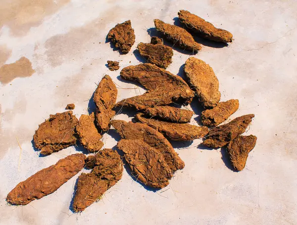 Kırsal bölgedeki Hawan ve Hint Ayinleri için Saf İnek Gübresi Kekleri (Gobar Upla)