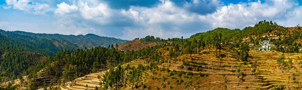 Himalayalar 'da, Uttarakhand' da, Hindistan 'da buğday tarlaları, Panorama Manzara Fotoğrafçılığı 