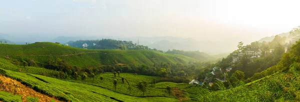Munnar is a well-known place in India, and it is located in the state of Kerala, Munnar is a picturesque hill station known for its breathtaking landscapes, lush tea gardens, and cool climate
