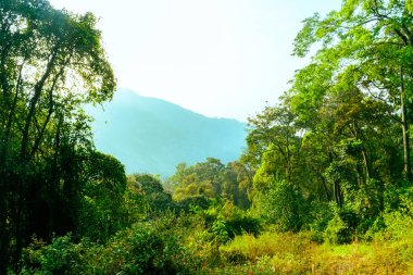Munnar Kelara 'nın manzara doğa fotoğrafçılığının boş yolu