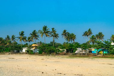 Alappuzha Sahili, Hindistan 'ın Kerala kentinde Alappuzha (Alleppey plajı) şehrinde bir plajdır.