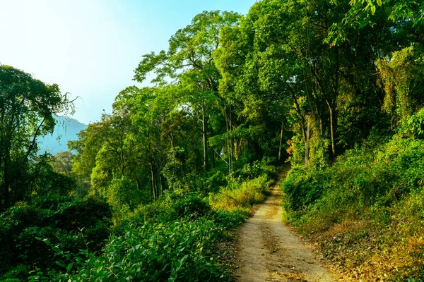 Munnar Kelara 'nın manzara doğa fotoğrafçılığının boş yolu