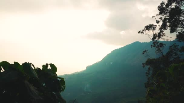 Bellissimo Paesaggio Verde Veduta Aerea Delle Piantagioni Munnar Kerala India — Video Stock