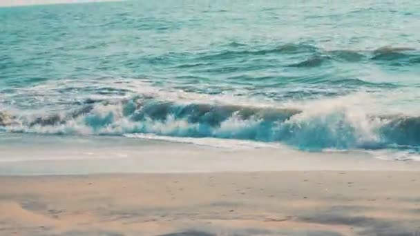 Alappuzhaビーチのサンドビーチアラビア海のコストは アルパッツァのビーチです — ストック動画