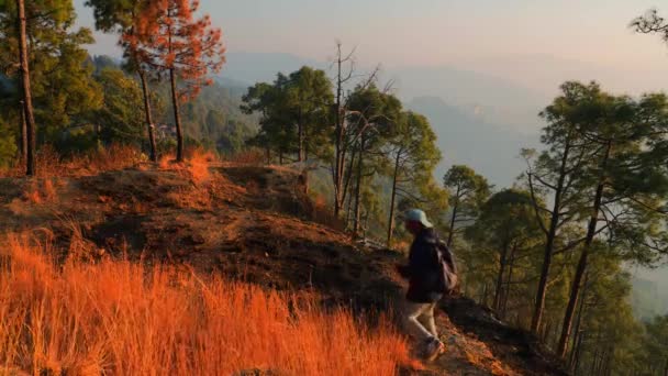 Laki Laki Pelacakan Puncak Bukit Solo Wisatawan Trekking Petualangan Gunung — Stok Video