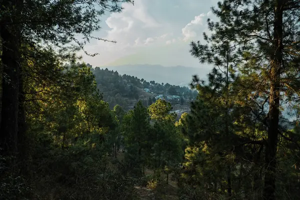 Uttarakhand Hindistan 'dan ıssız Dağ Köyü Manzarası Fotoğrafçılığı