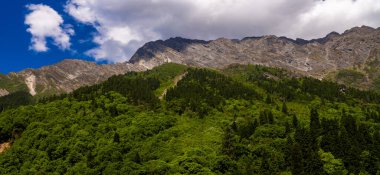 Nanda Devi ve Valley of Flowers Ulusal Parklar Panorama Fotoğrafları 