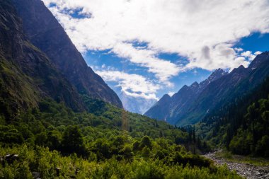 Doğanın Görkemli Yolculuğu: Hemkund Sahib 'e Büyüleyici Yol