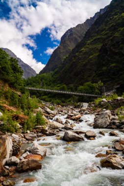 Chamoli Uttarakhand Hindistan 'da Himalayalar' ın Çiçekler Vadisi, Dağ Toprakları