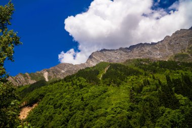 Doğanın Görkemli Yolculuğu: Hemkund Sahib 'e Büyüleyici Yol